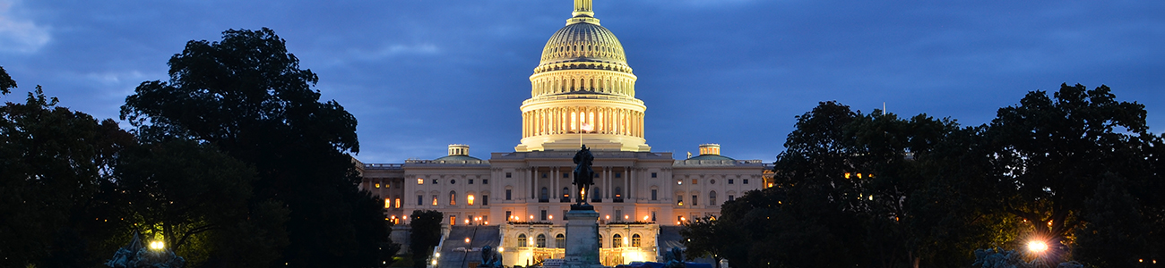 Photo of US Capitol at Night
